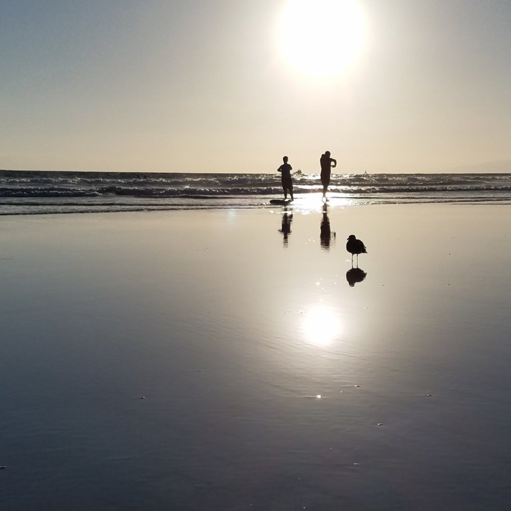 Meet your Posher, Aeri